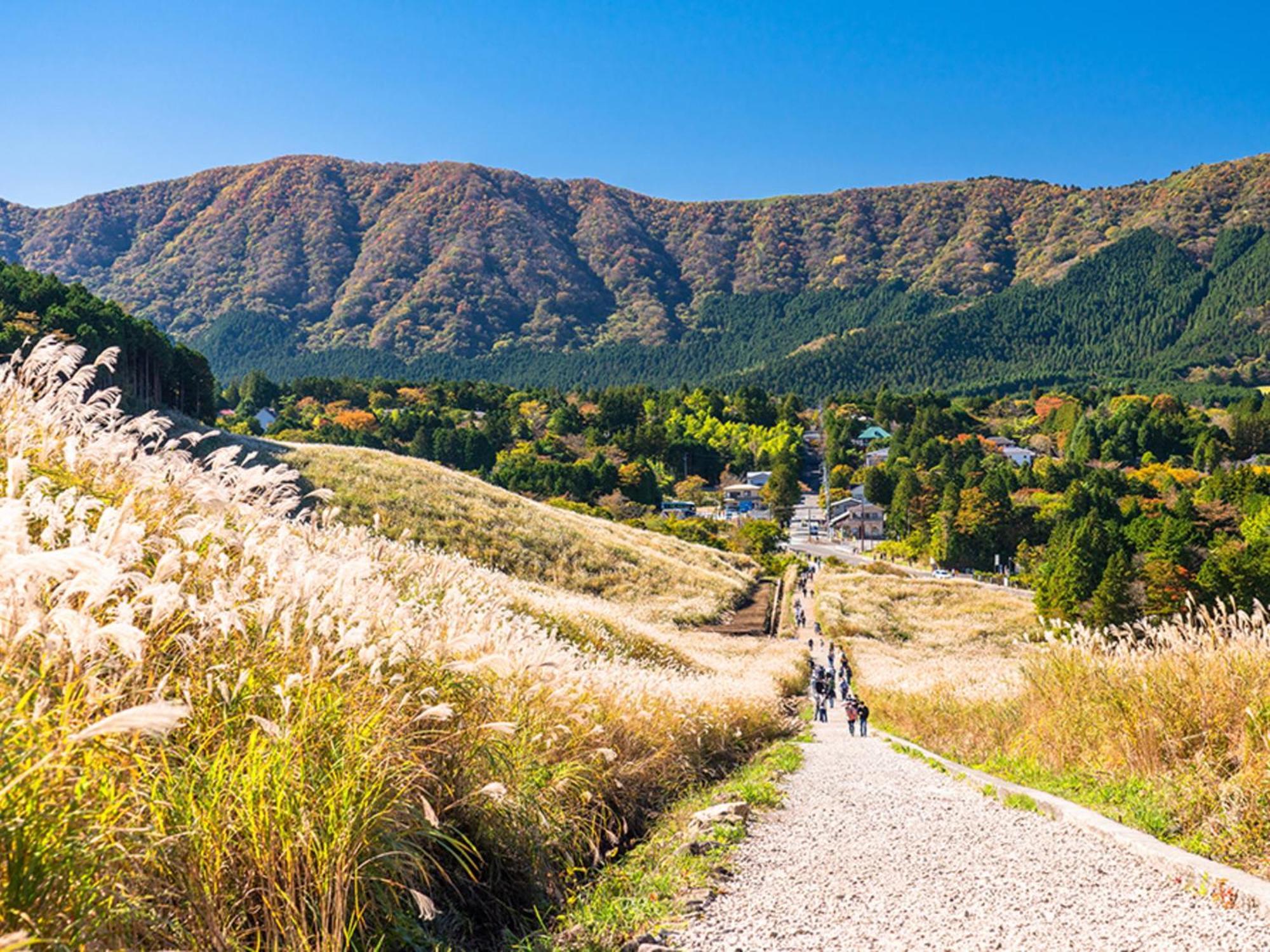 Hotel Shikinoyakata Hakone Ashinoko Екстериор снимка